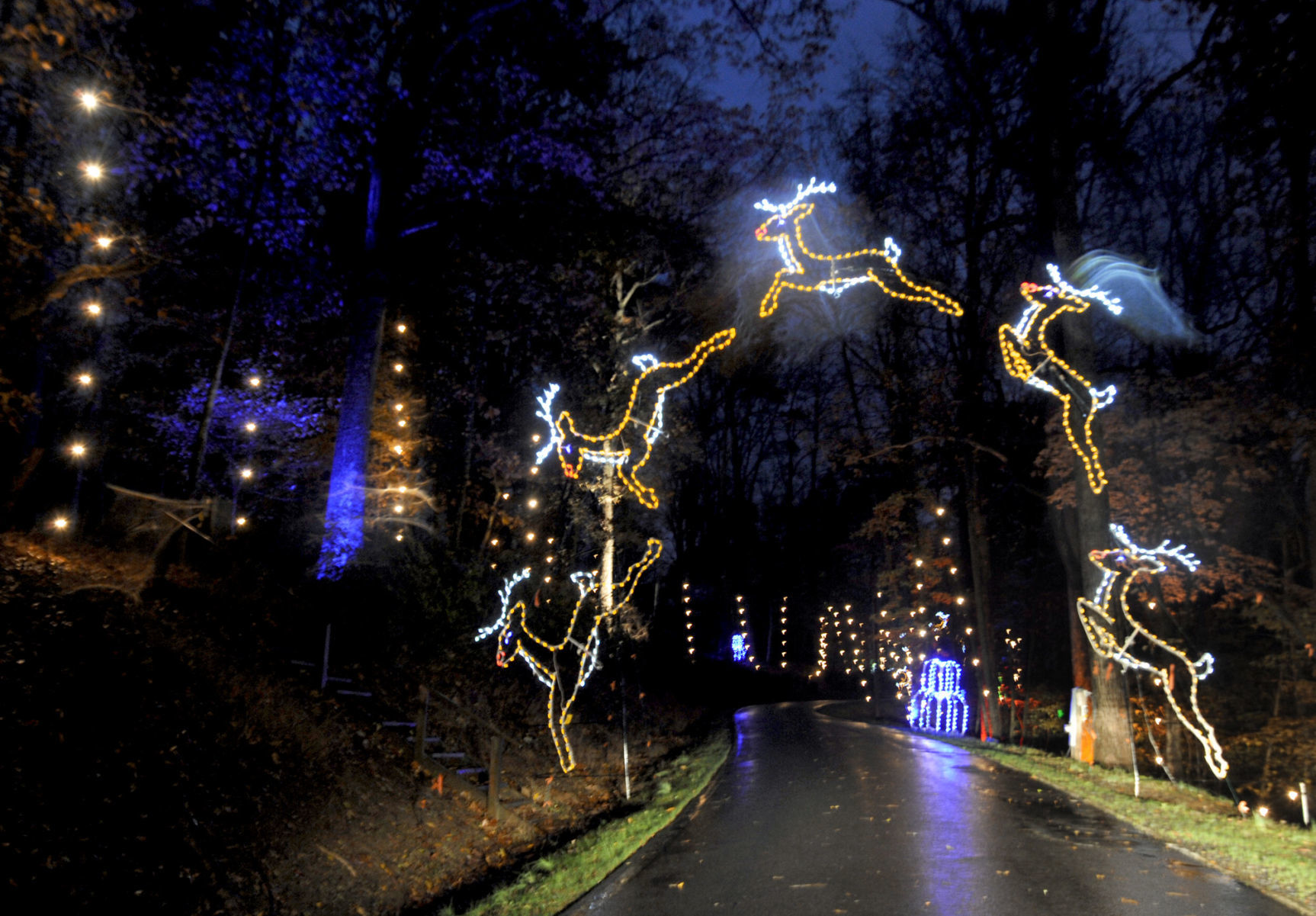 FESTIVAL OF LIGHTS 2009